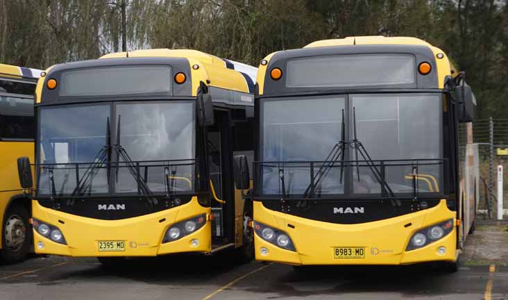 Shoal Bus MAN 19.320 Custom SB80 2395MO & 8983MO